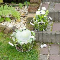 Product Decorative wire baskets as a decorative solution for creative garden design, 30cm, 1 set