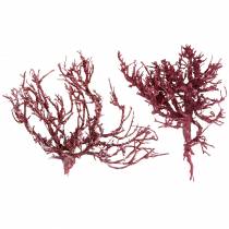 Dekoast coral branch red white washed 500g