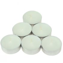 Product Scented candles Bergamot Wild Fig tea lights Ø3.5cm 12pcs