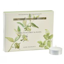 Product Scented candles lime bergamot basil Ø3.5cm 12pcs