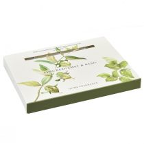 Product Scented Candles Lime Bergamot Basil Ø3.5cm 12 pcs