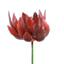 Succulent Echeveria Artificial Green Plants Red Ø12cm 19.5cm