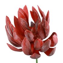 Succulent Echeveria Artificial Green Plants Red Ø12cm 19.5cm