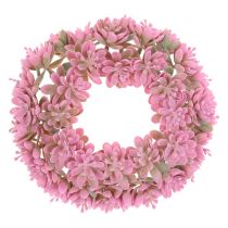 Echeveria wreath Pink Ø18cm 4pcs
