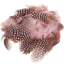 Product Real Guinea Fowl Feathers Pink with Dots 4-12cm 100 Pcs