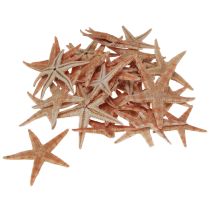 Product Real young starfish maritime table decoration 3.5-5cm 100 pieces