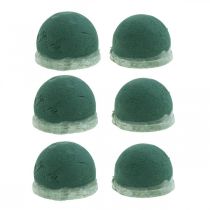 Product Oasis Ecobase urn decoration floral foam memorial floristry Ø6.5cm 6 pcs