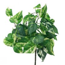 Product Ivy plant Pothos ivy artificial gold tendril 50cm