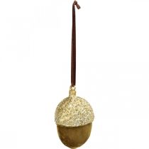 Product Acorns for hanging, Advent, tree decoration, autumn decoration H6.5cm Ø4cm 6 pcs