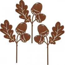 Product Garden stake acorns with leaf rust metal H19cm 6 pcs