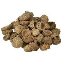 Product Acorn caps natural decorative acorns for crafting 1.5cm 200g