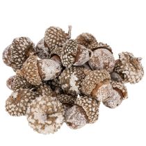 Product Natural Acorns for Decoration White-Washed 1-3cm 300g