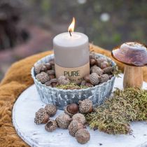 Acorns for decorating, autumn decorations, autumn fruits of course Ø1.5 - 2.5cm L1.5 - 3cm 300g