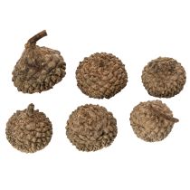 Product Natural Acorn Caps for Autumn and Advent Decorations 2cm 300g