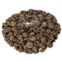Product Natural Acorn Caps for Autumn and Advent Decorations 2cm 300g