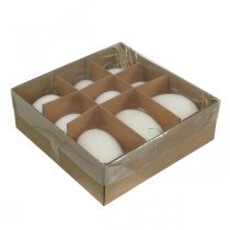 Product Swan eggs &amp; chicken eggs mix blown out eggs white 5.5/8cm 9pcs