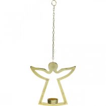 Product Decorative angel, tealight holder to hang, metal decoration golden H20cm