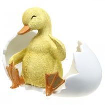 Product Hatched chick, duck figure, duckling in egg H10cm W12.5cm