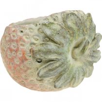 Product Decorative strawberry, plant pot, concrete decoration for planting L17cm