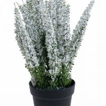 Product Erika white heather broom heather artificial plant H26cm