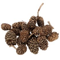 Product Natural Alder Cones with Gold Finish 3cm 300g for Home Decoration and Crafting
