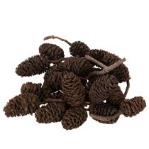 Product Natural Alder Cones Loose 3cm 300g Brown for Decoration