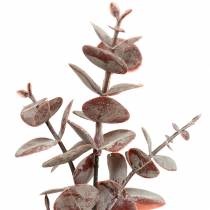 Product Eucalyptus artificial Burgundy 32cm Artificial plant like real!