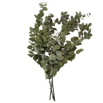 Product Preserved Eucalyptus Decorative Branches and Leaves, Round Dried Decoration, Green, 150g