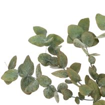 Product Preserved Eucalyptus Decorative Branches and Leaves, Round, Dried Green Decoration, 150g