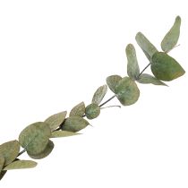 Product Preserved Eucalyptus Decorative Branches and Leaves, Round, Dried Green Decoration, 150g