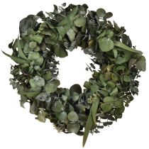 Product Eucalyptus wreath natural wreath eucalyptus preserved Ø35cm