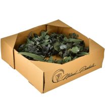 Product Eucalyptus natural wreath Ø35cm preserved scented decoration