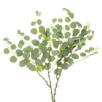 Product Decorative eucalyptus branch, ideal table decoration, 120cm
