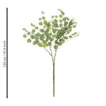 Product Decorative eucalyptus branch, ideal table decoration, 120cm