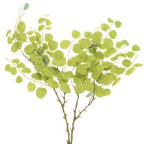 Product Decorative eucalyptus branch, ideal table decoration, 120cm
