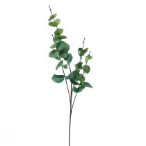 Product Eucalyptus branch artificial eucalyptus green 64cm