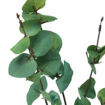 Product Eucalyptus branch artificial eucalyptus green 64cm