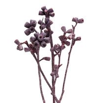 Product Eucalyptus branch blackberry frosted 25pcs