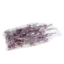 Product Eucalyptus branch blackberry frosted 25 pcs