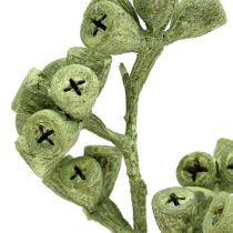 Product Eucalyptus branch green frosted 25 pcs