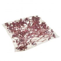 Product Eucalyptus branches red frosted natural decoration exotic 25 pieces