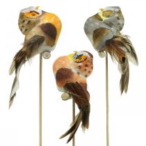 Deco plug owl, floral decoration, owl with feathers H5.5cm 6pcs