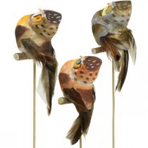 Product Deco plug owl, floral decoration, owl with feathers H5.5cm 6pcs
