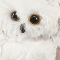 Product Owl Decoration Owl Figures for Hanging White Grey 6cm 4pcs