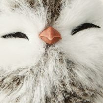 Product Owl Decoration Owl Chick for Hanging White Brown 6cm 4 Pcs