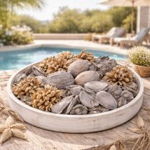 Product Potpourri table decoration with nuts for a natural summer atmosphere