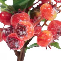 Product Rosehip deco Rosehip branch Artificial deco branch 35cm