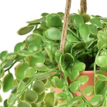 Product Artificial succulents in pot Sedum hanging basket 34cm