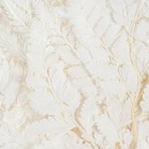 Product Fern Decoration Real Fern Fronds White Preserved 45cm 10 Pcs
