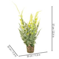 Product ProductName
57cm Artificial Fern with Decorative Earth Ball for Home and Office Decoration
ProductDescription
<div>
<h2>Artificial Fern for Stylish Home and Office Decoration</h2>
<p>This artificial fern stands 57cm tall and offers a natural-lo